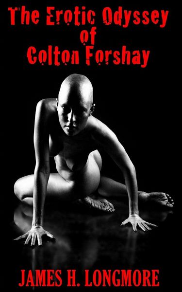 Produktbild: The Erotic Odyssey of Colton Forshay