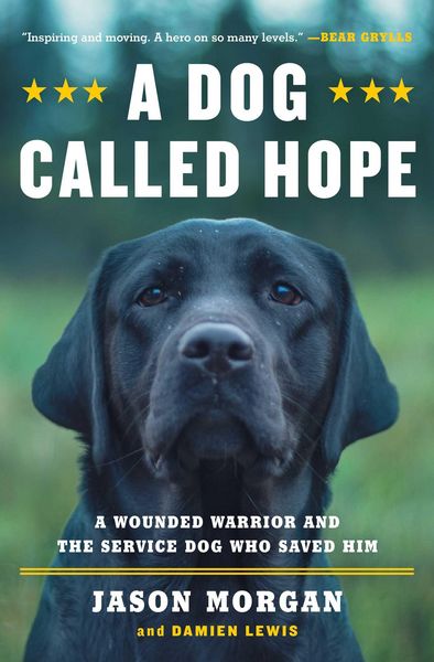 Produktbild: A Dog Called Hope