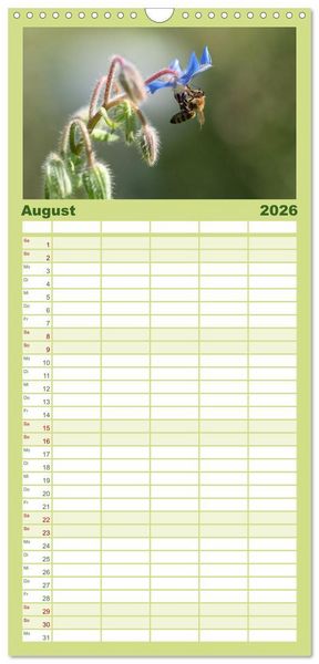 Produktbild: Familienplaner 2026 - Hummeln und Bienen mit 5 Spalten (Wandkalender, 21 x 45 cm) CALVENDO
