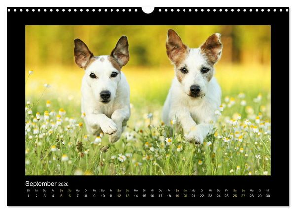 Produktbild: Die Parsons (Wandkalender 2026 DIN A3 quer), CALVENDO Monatskalender