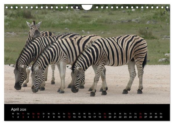 Produktbild: W&uuml;stenzauber Namibia (Wandkalender 2026 DIN A4 quer), CALVENDO Monatskalender