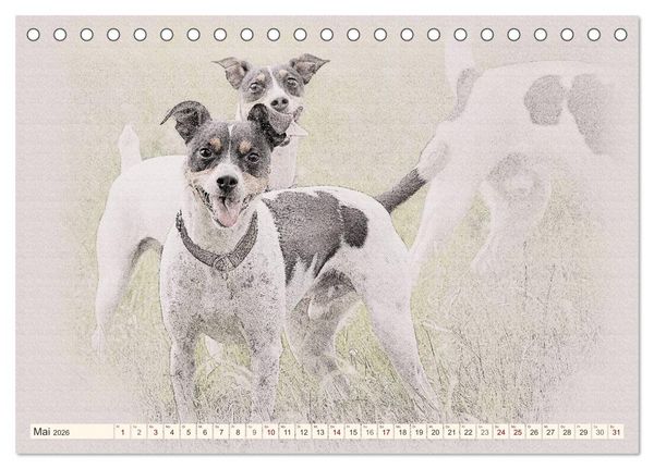 Produktbild: Bodeguero Andaluz 2026 (Tischkalender 2026 DIN A5 quer), CALVENDO Monatskalender