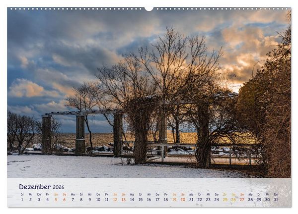 Produktbild: R&uuml;genliebe (Wandkalender 2026 DIN A2 quer), CALVENDO Monatskalender