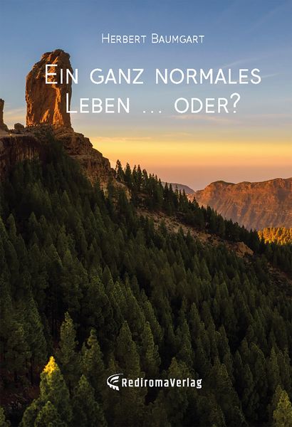 Produktbild: Ein ganz normales Leben ... oder?