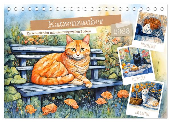 Katzenzauber - Katzenkalender mit stimmungsvollen Bildern (Tischkalender 2026 DIN A5 quer), CALVENDO Monatskalender