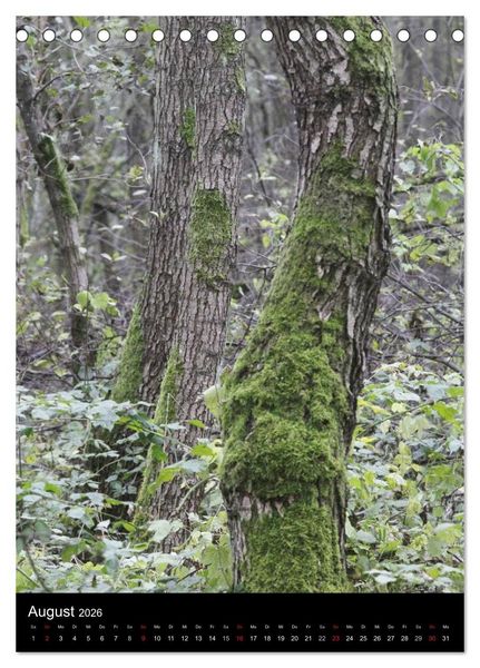 Produktbild: Wunderbarer Spreewald (Tischkalender 2026 DIN A5 hoch), CALVENDO Monatskalender