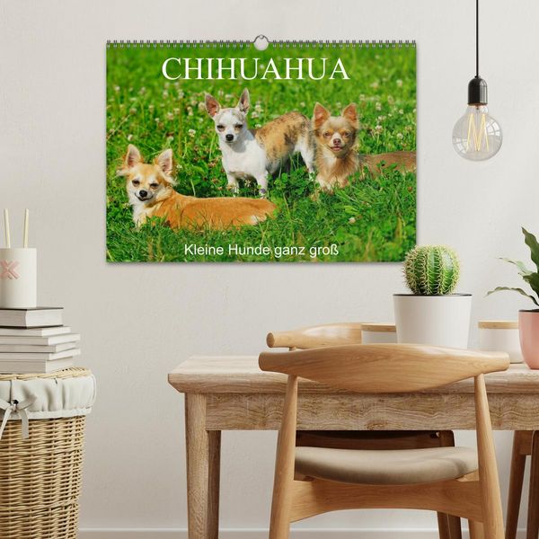 Produktbild: Chihuahua - Kleine Hunde ganz gro&szlig; (Wandkalender 2026 DIN A3 quer), CALVENDO Monatskalender