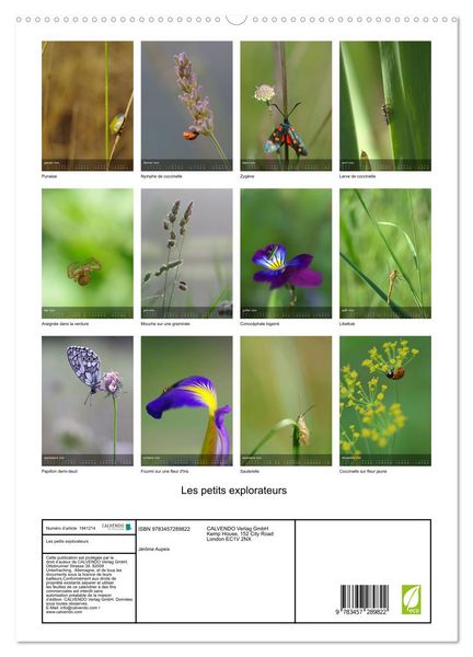 Produktbild: Les petits explorateurs (Calendrier mural 2026 DIN A2 horizontal) calendrier de bureau