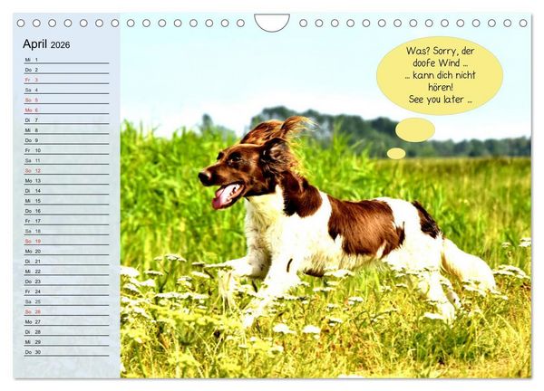 Produktbild: Hurra! Wir gehen Gassi! Abenteuer mit dem Hund! (Wandkalender 2026 DIN A4 quer), CALVENDO Monatskalender