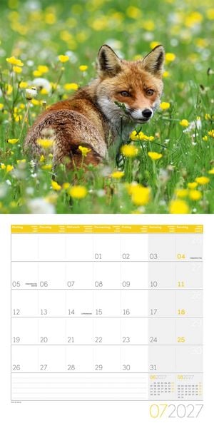 Produktbild: F&uuml;chse Kalender 2027 - 30x30 - Art12