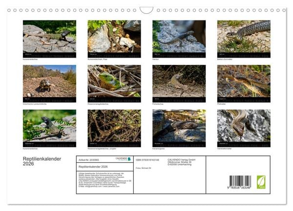 Produktbild: Reptilienkalender 2026 (Wandkalender 2026 DIN A3 quer), CALVENDO Monatskalender