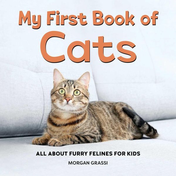 Produktbild: My First Book of Cats