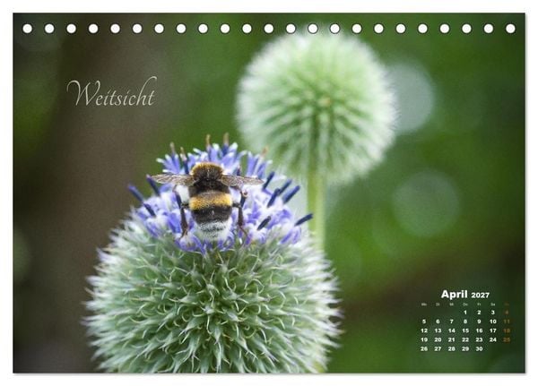 Produktbild: Bl&uuml;ten,Fl&uuml;gel und Gedanken &ndash; Ein Jahr in Bildern und Worten (Tischkalender 2027 DIN A5 quer), CALVENDO Monatskalender