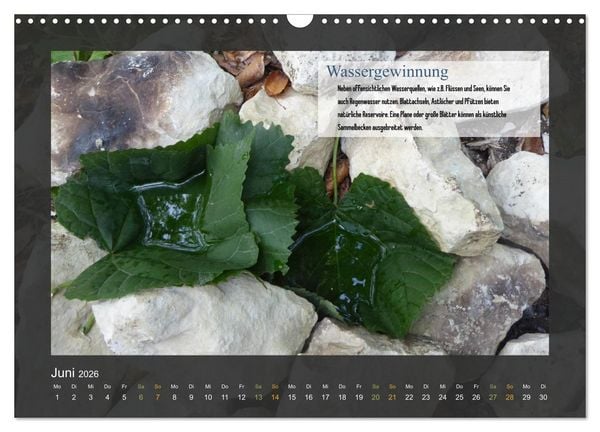 Produktbild: Outdoor-Survival-Kalender (Wandkalender 2026 DIN A3 quer), CALVENDO Monatskalender