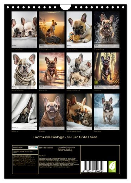 Produktbild: Franz&ouml;sische Bulldogge - ein Hund f&uuml;r die Familie (Wandkalender 2026 DIN A4 hoch), CALVENDO Monatskalender