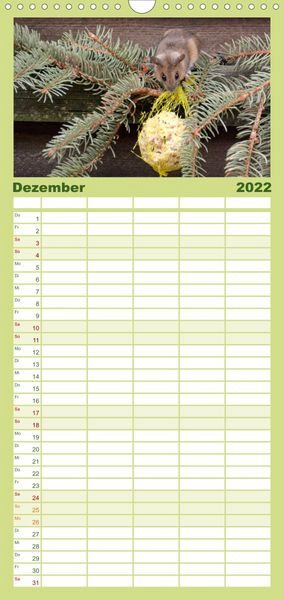 Produktbild: Familienplaner ... hier kommt die Maus ... (Wandkalender 2022 , 21 cm x 45 cm, hoch)