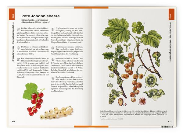 Produktbild: Was wir essen
