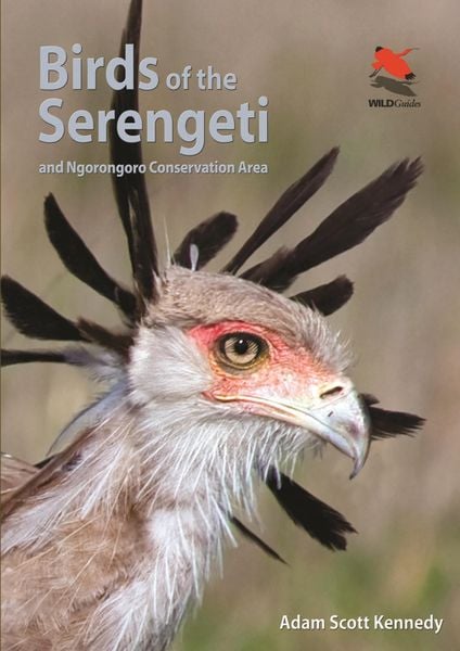 Produktbild: Birds of the Serengeti