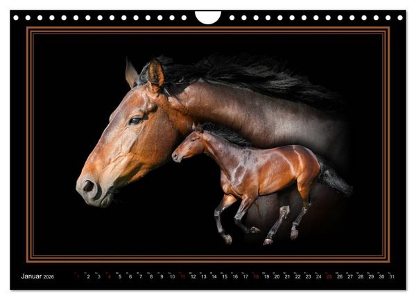 Produktbild: Traumpferde-ART-Collection (Wandkalender 2026 DIN A4 quer), CALVENDO Monatskalender