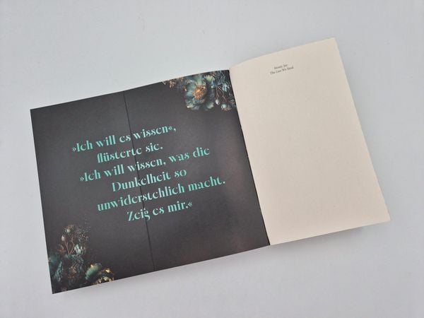Produktbild: The Lies we steal