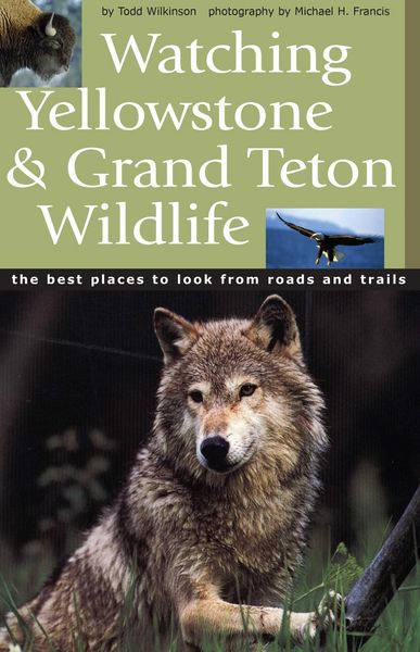 Produktbild: Watching Yellowstone & Grand Teton Wildlife