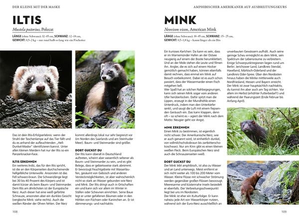 Produktbild: Die siehst du - Die Tiere um dich herum