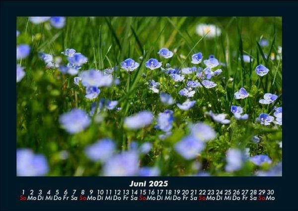 Produktbild: Blumentr&auml;ume 2025 Fotokalender DIN A5