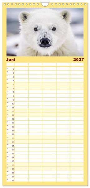 Produktbild: Familienplaner 2027 - Babys der Wildnis mit 5 Spalten (Wandkalender, 21 x 45 cm) CALVENDO