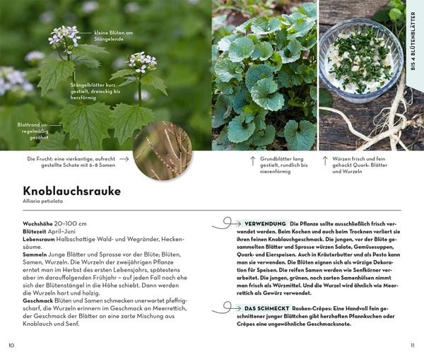 Produktbild: BASIC Fr&uuml;chte und Wildkr&auml;uter