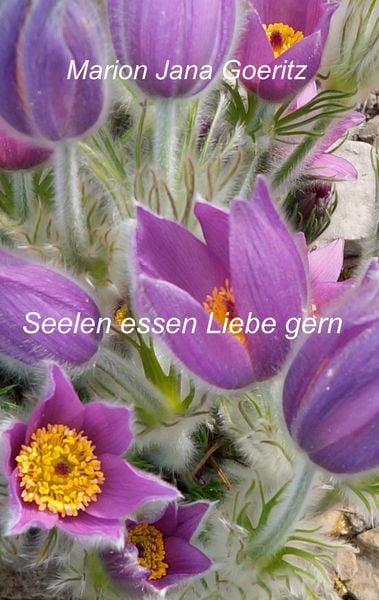 Produktbild: Seelen essen Liebe gern