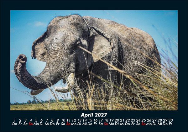 Produktbild: Tierkalender 2027 Fotokalender DIN A5