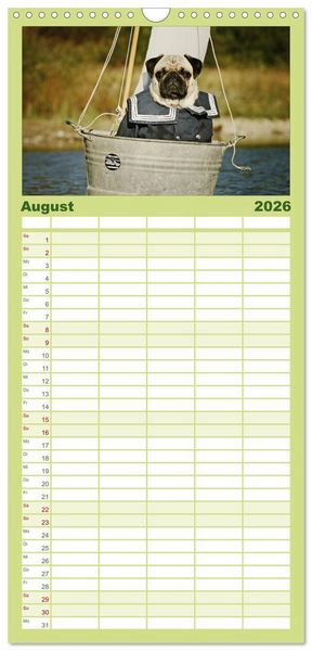 Produktbild: Familienplaner 2026 - Der MOPS-Kalender mit 5 Spalten (Wandkalender, 21 x 45 cm) CALVENDO