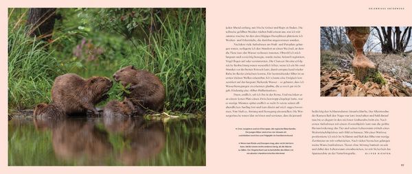 Produktbild: Wilde Elbe