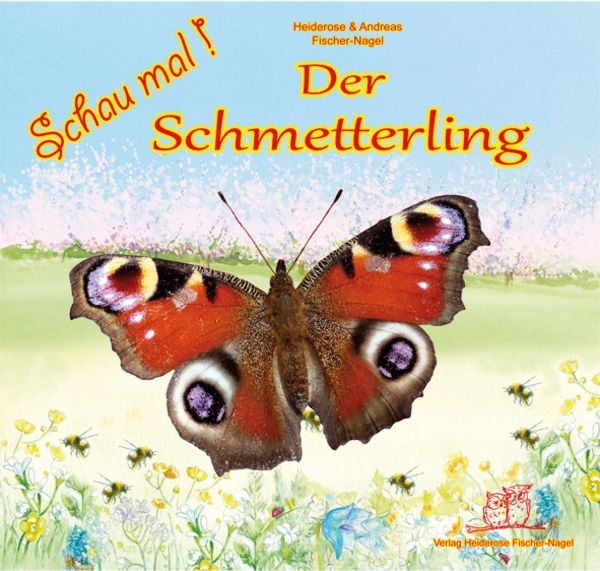 Schau mal ! / Schau mal Der Schmetterling, Gebundene Ausgabe von Heiderose Fischer-Nagel,Andreas Fischer-Nagel, Fischer-Nagel, H, 978-3-930038-80-0