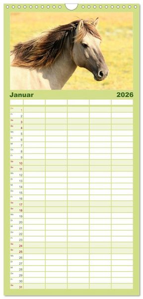 Produktbild: Familienplaner 2026 - Ponys. Herzensbrecher mit Grips mit 5 Spalten (Wandkalender, 21 x 45 cm) CALVENDO