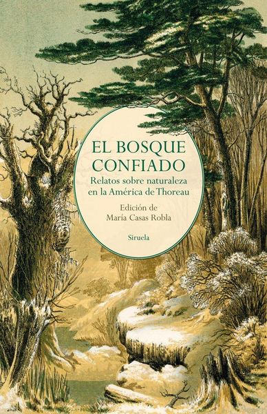 Produktbild: El bosque confiado