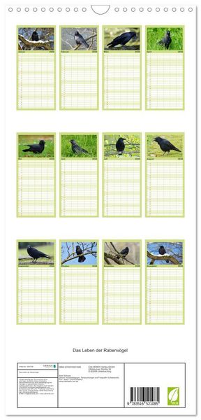 Produktbild: Familienplaner 2026 - Das Leben der Rabenv&ouml;gel mit 5 Spalten (Wandkalender, 21 x 45 cm) CALVENDO