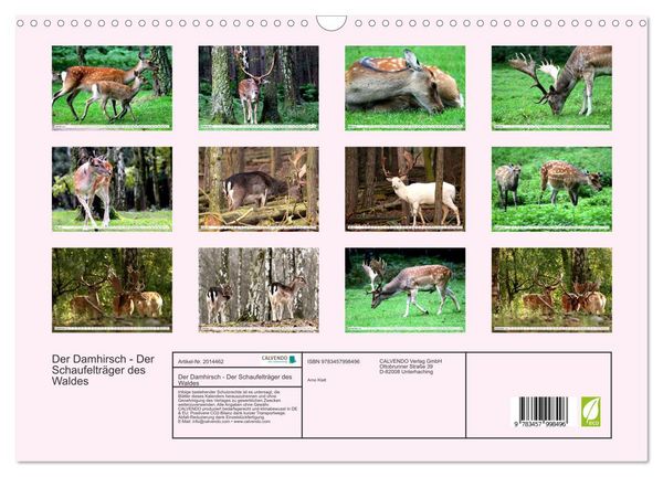 Produktbild: Der Damhirsch - Der Schaufeltr&auml;ger des Waldes (Wandkalender 2026 DIN A3 quer), CALVENDO Monatskalender