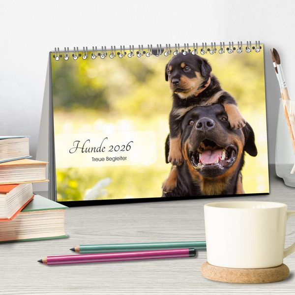 Produktbild: Hunde 2026 - Treue Begleiter (Tischkalender 2026 DIN A5 quer), CALVENDO Monatskalender