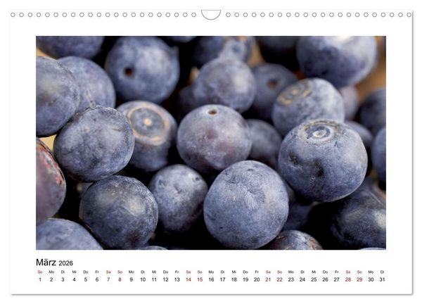 Produktbild: Frisches Obst - Mit leckeren Fr&uuml;chten und Vitaminen gesund durchs Jahr! (Wandkalender 2026 DIN A3 quer), CALVENDO Monatskalender
