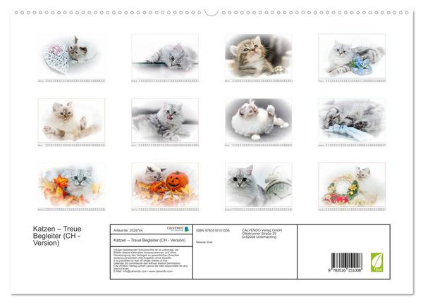 Produktbild: Katzen &ndash; Treue Begleiter (CH - Version) (hochwertiger Premium Wandkalender 2026 DIN A2 quer), Kunstdruck in Hochglanz