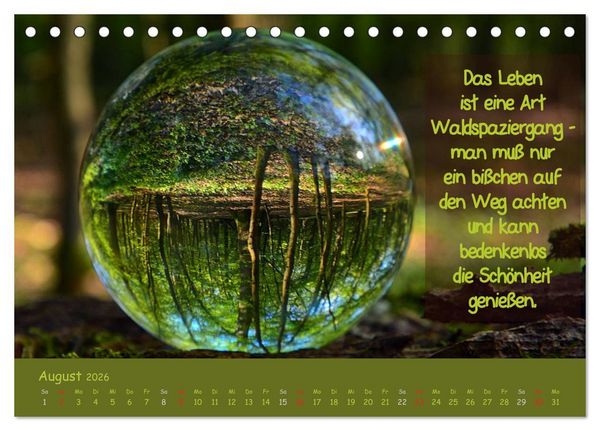 Produktbild: Wunderbare Waldkugeln (Tischkalender 2026 DIN A5 quer), CALVENDO Monatskalender