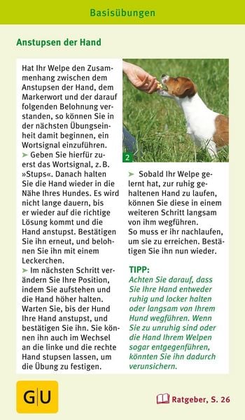 Produktbild: Welpen-Spiele-Box