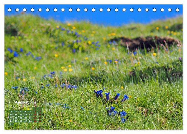 Produktbild: Gro&szlig;glockner wundersch&ouml;ne Berg- und Tierwelt (Tischkalender 2026 DIN A5 quer), CALVENDO Monatskalender