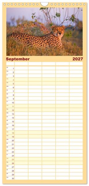 Produktbild: Familienplaner 2027 - Afrika Wildlife-Fotografien mit 5 Spalten (Wandkalender, 21 x 45 cm) CALVENDO