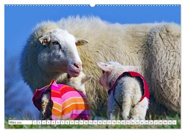 Produktbild: Wildes Wendland (Wandkalender 2026 DIN A2 quer), CALVENDO Monatskalender