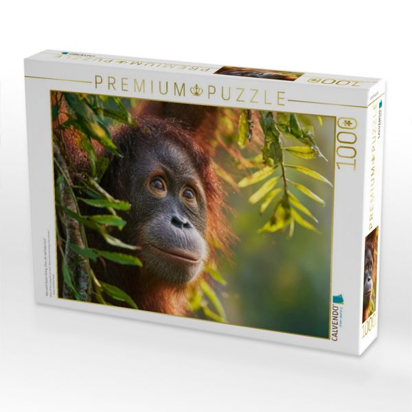 Produktbild: CALVENDO Puzzle Was wird dieser Orang-Utan als n&auml;chstes tun? | 1000 Teile Lege-Gr&ouml;&szlig;e 64x48cm Foto-Puzzle f&uuml;r gl&uuml;ckliche Stunden