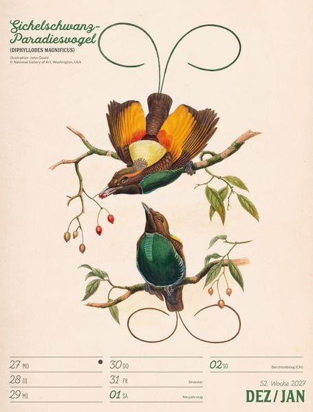 Produktbild: Wunderbare Vogelwelt Wochenplaner Kalender 2027