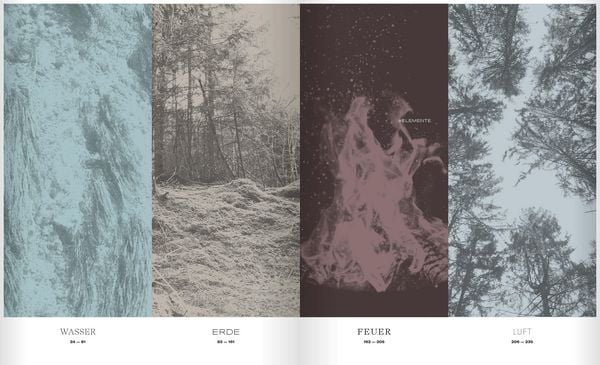 Produktbild: Wilder Wald