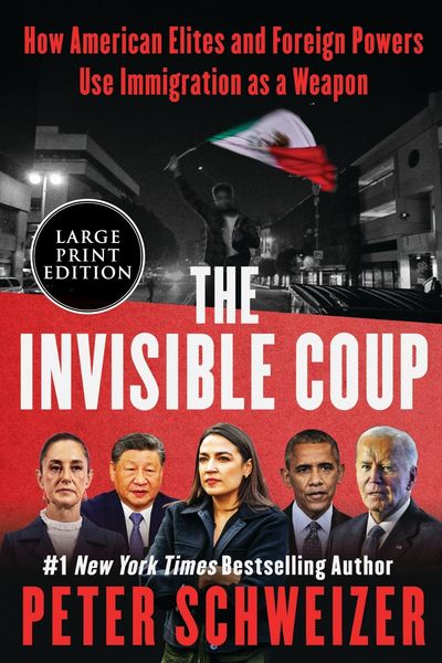 Produktbild: The Invisible Coup